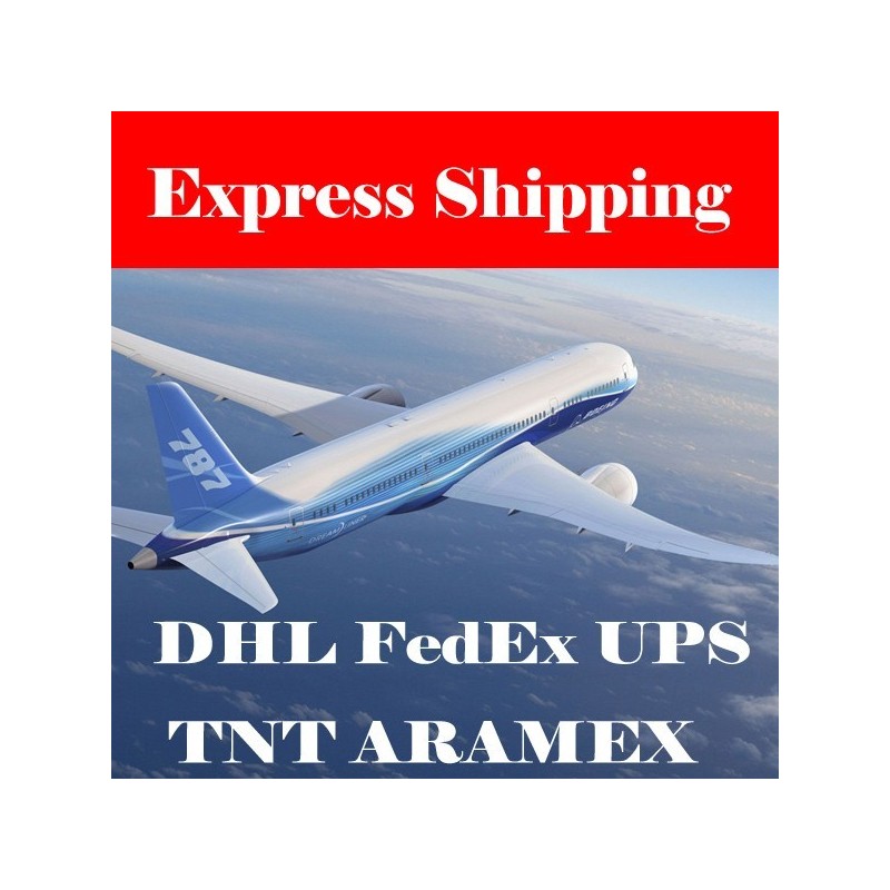 Change shipping method to Express Shipping (1KG or below)