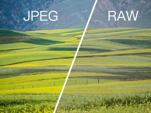 How to use the RAW file on Git2